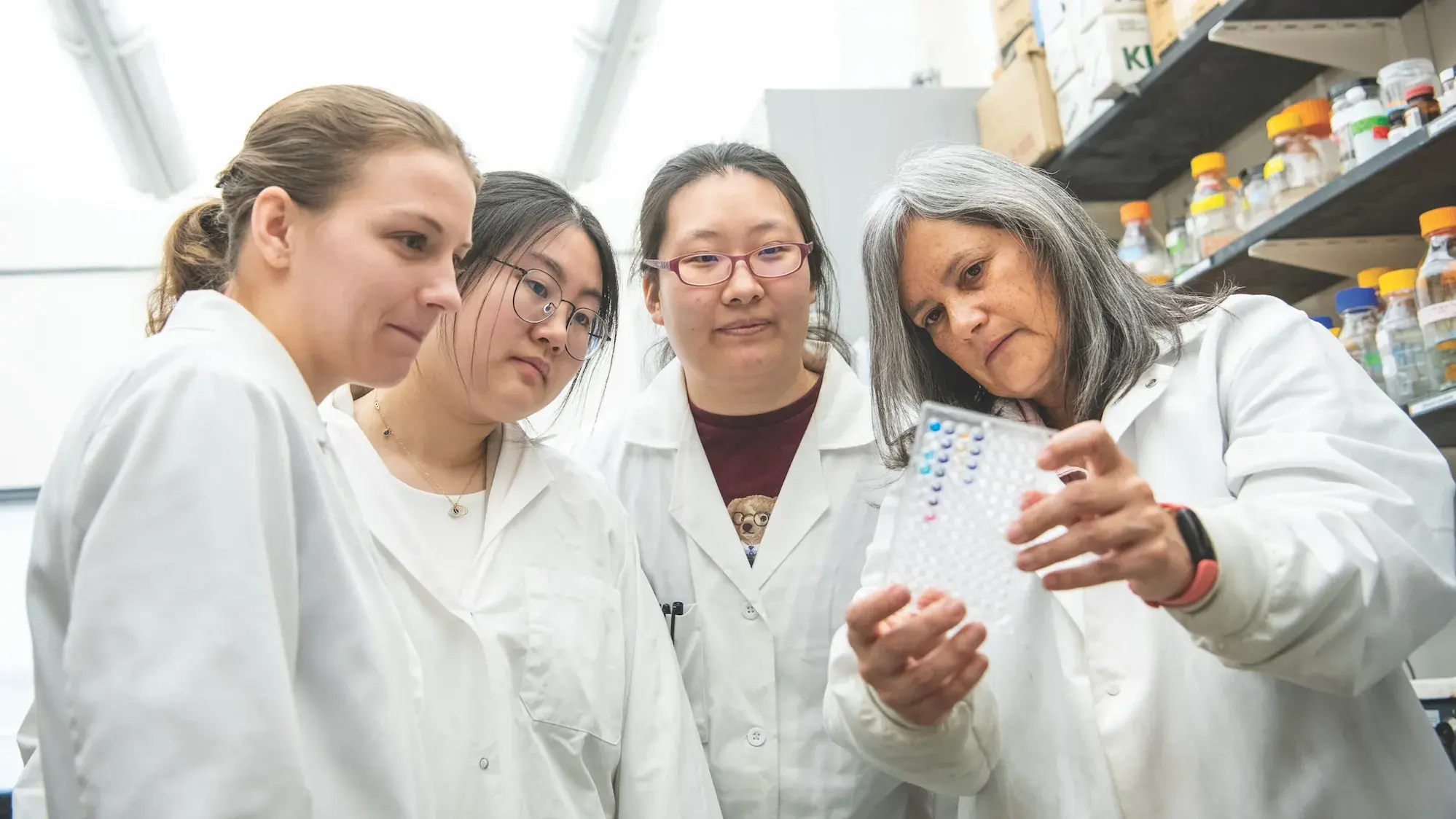 Four researchers looking at test results